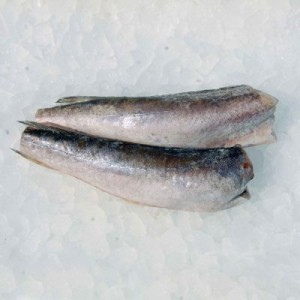 Frozen Argentine hake 200/400, (box 25 kg), kg
